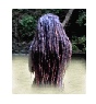 Dreadlocks